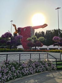 Ixora Escape Travels